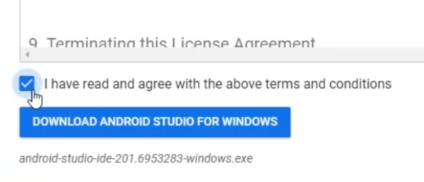 Figure 3: Accept Terms and Conditions for Android Studio