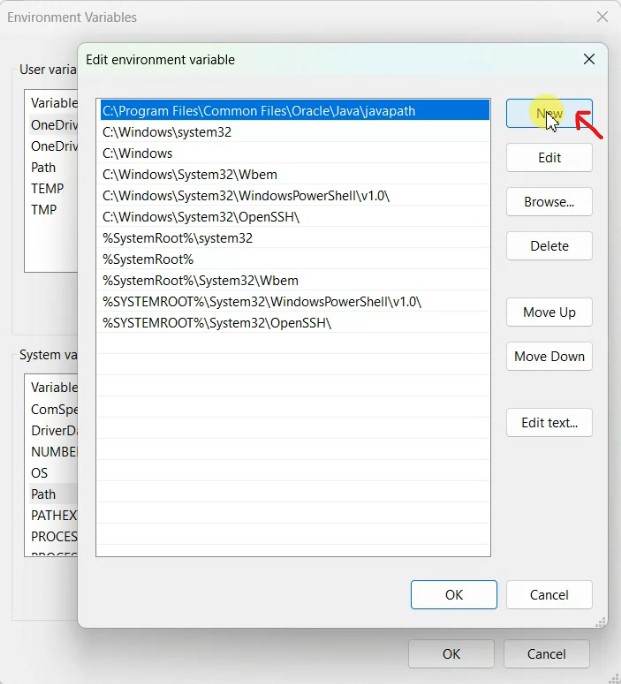 Figure 9: Editing the System variables path